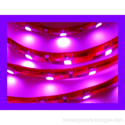 5050 Flexible LED Strip